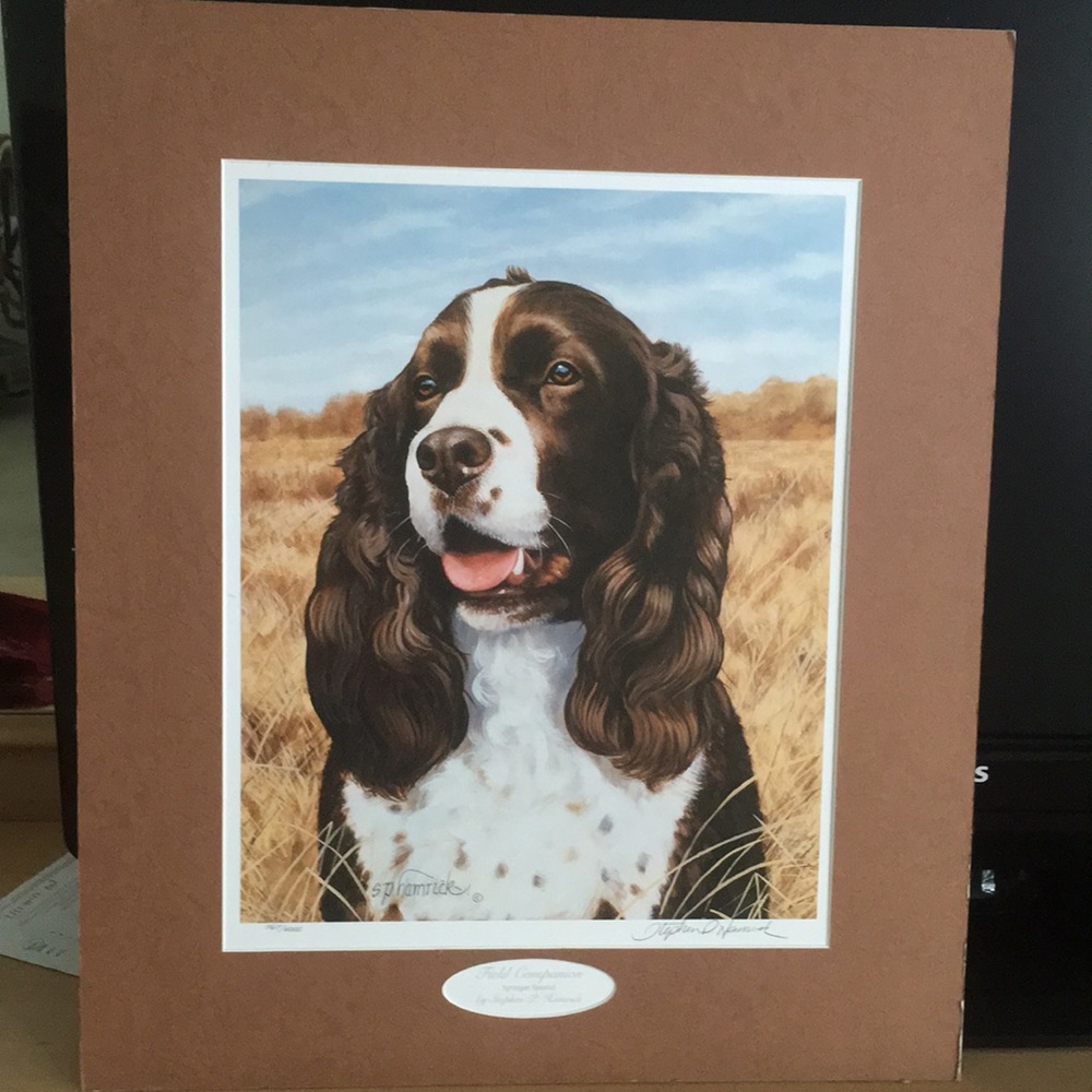English springier spaniel number print